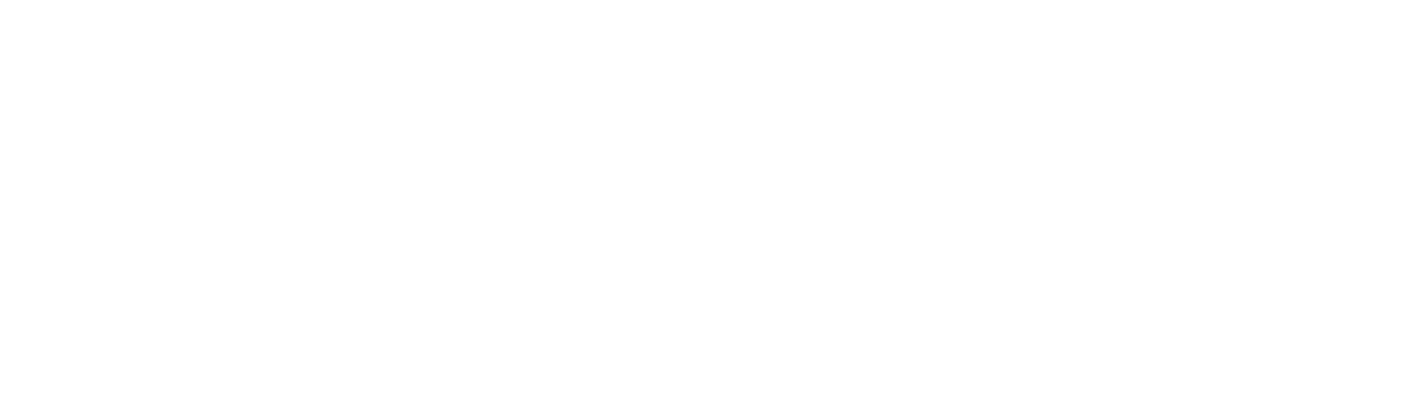 Avalanche Team1
