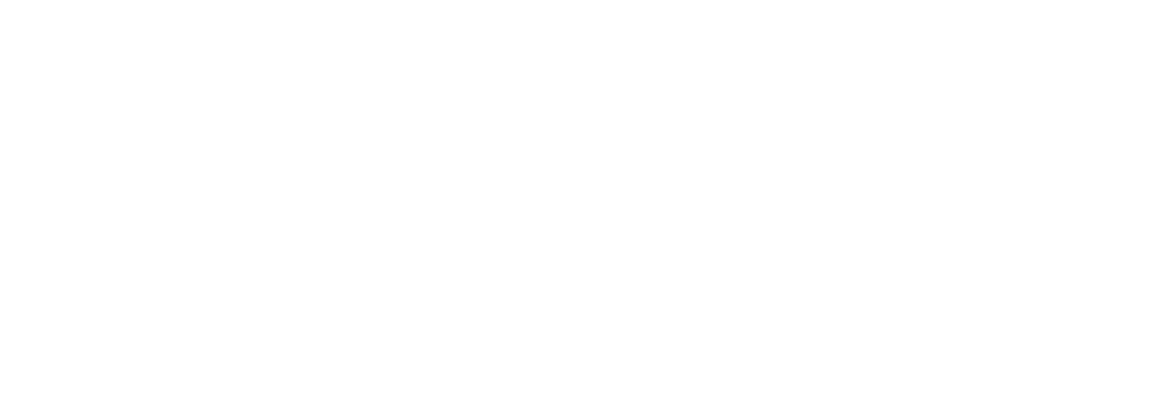 Lisk